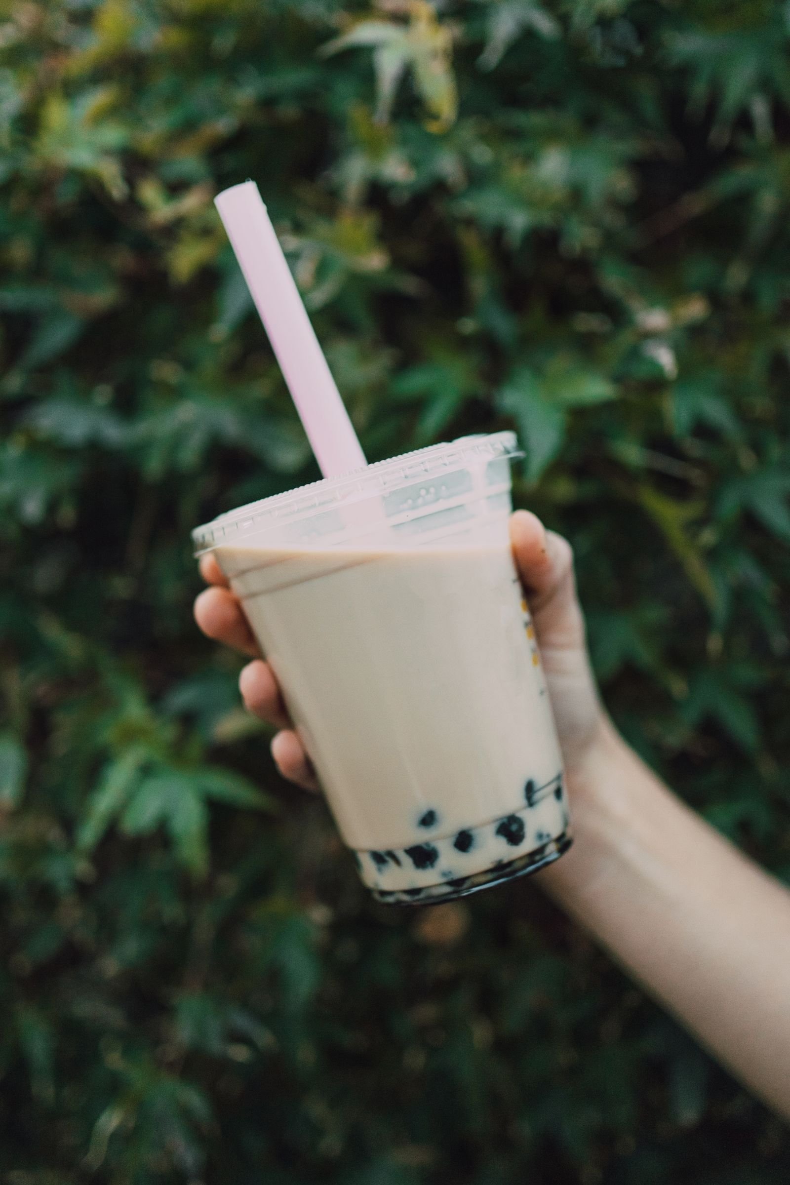 Boba tea held up against palm leaves